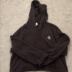 Calvin Klein Chocolate Hooded Pullover